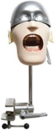 TJİRİS Diş Basit Phantom Kafa Öğretim Simülatörü için Phantom Diş Modeli ile Mankeni
