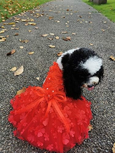 UXZDX CUJUX Pet Köpek Elbise El Yapımı Işlemeli Üç Boyutlu Çiçekler Küçük Köpekler ıçin Prenses Düğün Dantel Elbise Köpek Giysileri