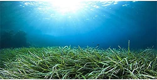 AWERT Akvaryum Arka Plan Su Bitki Sualtı Okyanus Taban Balık Tankı Arka Plan Dayanıklı Polyester Arka Plan