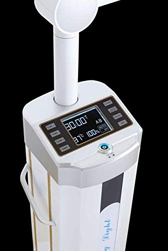 DOĞU Marka Lazer beyazlatma lamba ışığı Sabit Sıcaklık taşınabilir 60 W Beyazlatma Lazer lamba yakınlaştırma makinesi