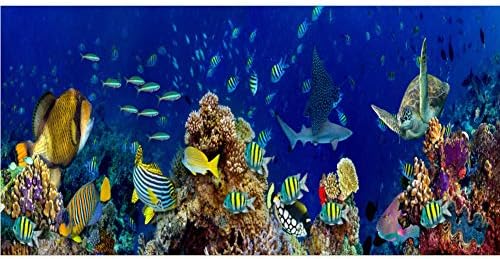 Haoyıyı 48 x 20 Sualtı Dünyası Arka Plan Denizaltı Tema Akvaryum Güneş Işığı Derin Deniz Dibi Kaya Balık Tankı Zemin Vinil