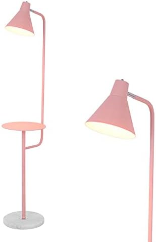 SDFDSSR Oturma Odası Zemin Lambası Raflar ile Macron Demir Sanat Köşe Uzun Boylu Ayakta Lamba Modern Minimalist Zemin Lambası