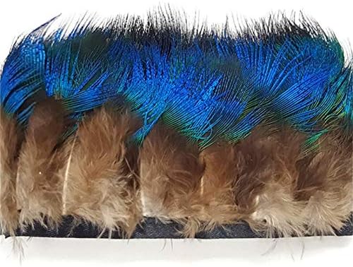 HARİKA10 Metre Doğal Tavuskuşu Tüyü Trim Fringe 5-6 cm Nadir Tüyler El Sanatları için Şerit Kostümleri / Etek Sülün Tüyleri