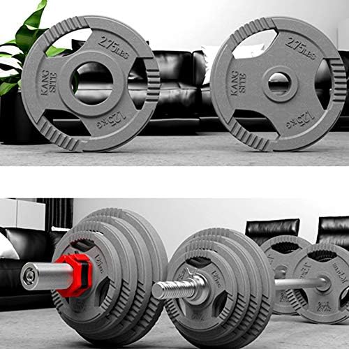1 Çift-Halter ağırlık plaka spor Halter dökme demir diskler Ev Fitness Dambıl diskler
