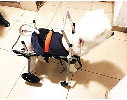FMOGG Köpek Tekerlekli Sandalye için Arka Bacaklar, Köpek Arka Bacak Desteği Çoklu Boyutları, küçük Hayvan Egzersiz Tekerlekler