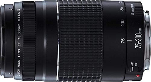 Canon EF 75-300mm f/4-5.6 III Telefoto Zoom Lens Canon SLR Kameralar için