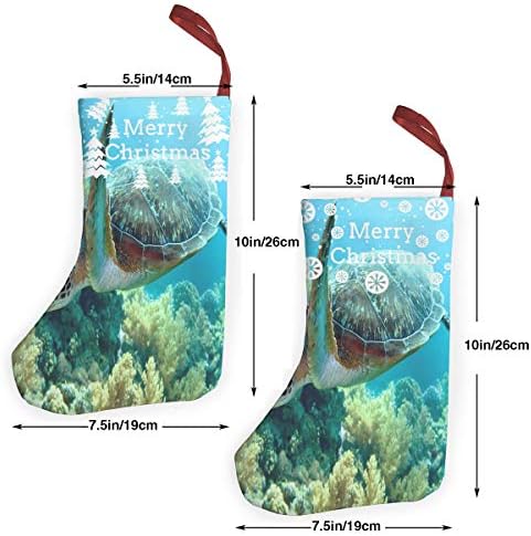 Yeşil Deniz Kaplumbağası Kişilik Noel Çorap 2 Adet Set 12 Herkes için Bir Boyut