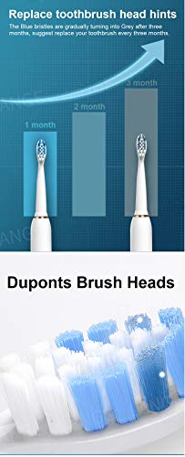 Elektrikli Diş Fırçası, 4 DUPONT Bursh Kafalı Yetişkinler ve Çocuklar için Bestek Sonic Diş Fırçası, Ultra Temizlik 5 Mod 60