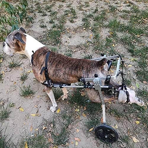 HXSM Alüminyum Alaşım Köpek Tekerlekli Sandalye için Arka Bacaklar Rehabilitasyon Ayarlanabilir Hayvan egzersiz tekerlekleri